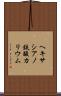 ヘキサシアノ鉄酸カリウム Scroll