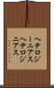ヘテロジーニアス Scroll
