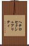 ヘテロセクシュアリティ Scroll