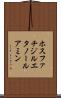 ホスファチジルエタノールアミン Scroll