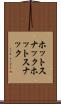 ホットスナック Scroll