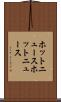 ホットニュース Scroll