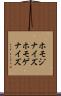 ホモジナイズ Scroll
