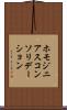 ホモジニアスコンソリデーション Scroll