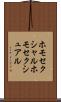 ホモセクシャル Scroll