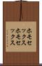 ホモセックス Scroll