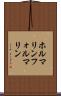 ホルマリン Scroll