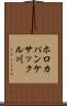 ホロカパンケサックル川 Scroll