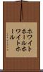 ホワイトホール Scroll