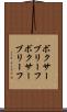 ボクサーブリーフ Scroll