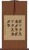 ボックスカメラ Scroll