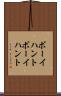 ボーイハント Scroll