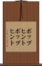ポップヒント Scroll