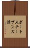 ポートスチーブンズ湾 Scroll