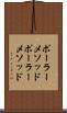 ポーラーメソッド Scroll