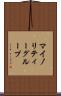 マイノリティーグループ Scroll