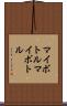 マイボトル Scroll
