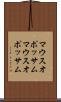 マウスオポッサム Scroll