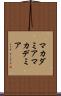 マカダミア Scroll