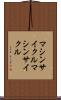 マシンサイクル Scroll