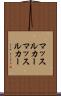 マッスルカー Scroll