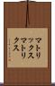 マトリックス Scroll