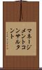 マネージメントコンサルタント Scroll