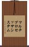 マルチプロセッサ・システム Scroll