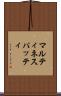 マルティネスパッティ Scroll