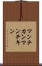 マンチカン Scroll