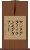 マンモグラフィ Scroll