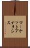マーケットアナリシス Scroll