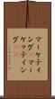 マーケティング(P) Scroll