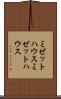 ミゼットハウス Scroll