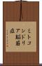 ミトコンドリア脳筋症 Scroll
