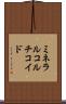 ミネラル・コルチコイド Scroll