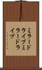 ミラードライブ Scroll