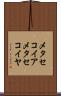 メタセコイア Scroll