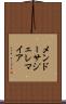Mendoza Jeremiah Scroll