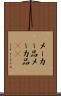 メーカー品 Scroll