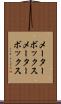 メーターボックス Scroll