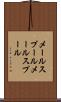 メールスプール Scroll
