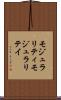 モジュラリティ Scroll