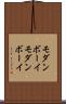 モダンボーイ Scroll