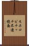 モホロビチッチ不連続面 Scroll