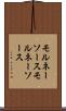 モルネーソース Scroll