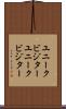 ユニークビジター Scroll