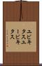 ユビキタス Scroll