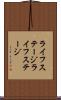 ライフステージ Scroll