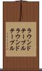 ラウンドテーブル Scroll